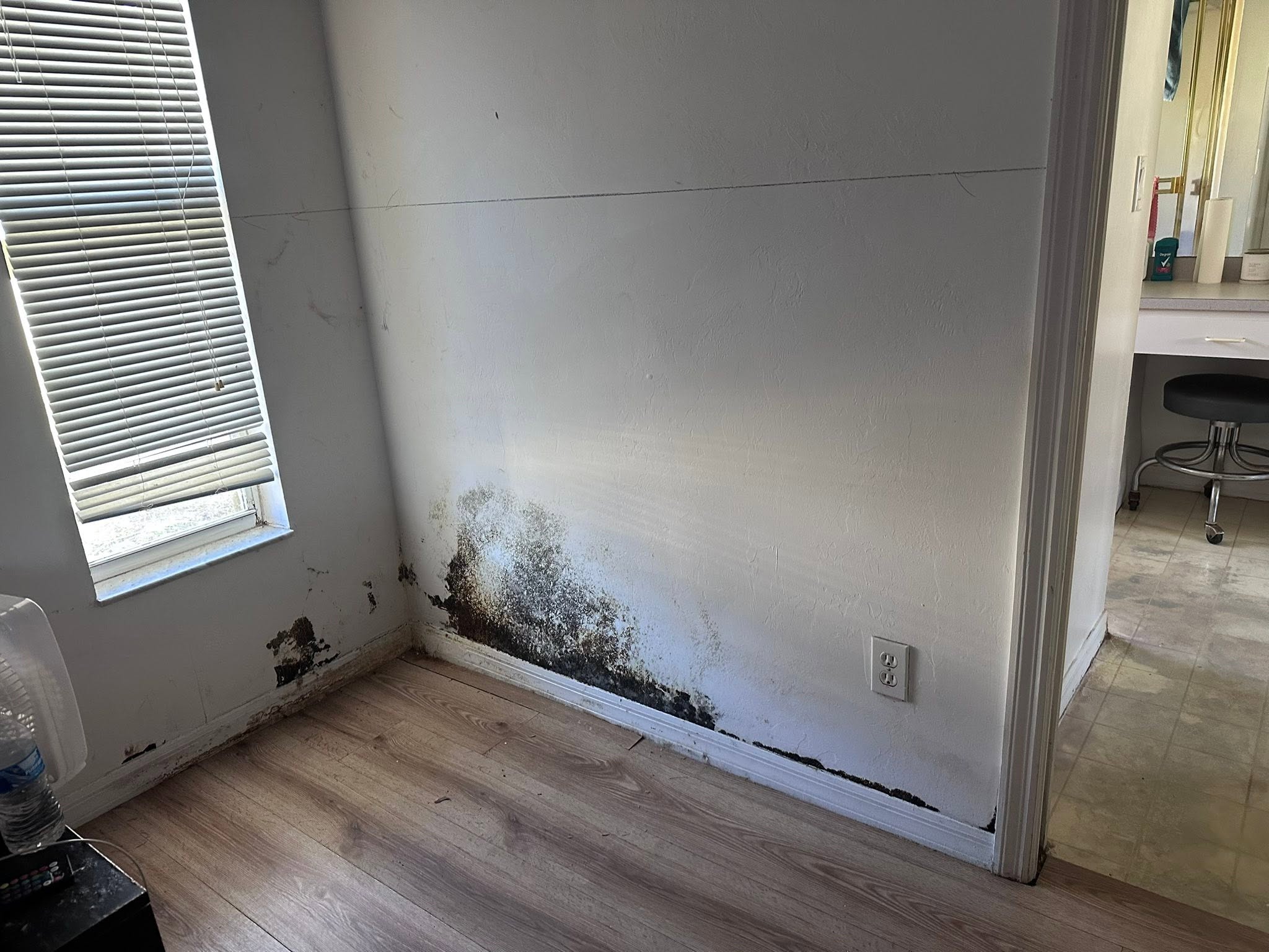 Mold Damage Before